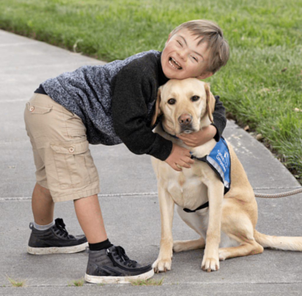 A child hugging a sitting Labrador Retriever wearing a blue vest on a sidewalk.